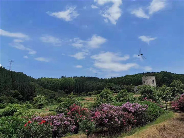 微信圖片_20190807141119.jpg 微信圖片_20190807141119.jpg